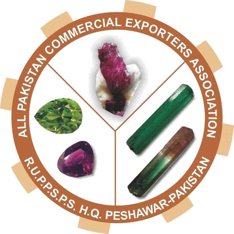 All Pakistan Commercial Exporters Association logo